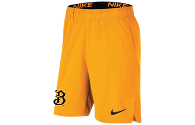 Nike Dri-Fit On Field Shorts
