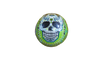 Bradenton Barbanegras Sugar Skull Baseball